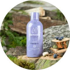 Prevention is a step ahead